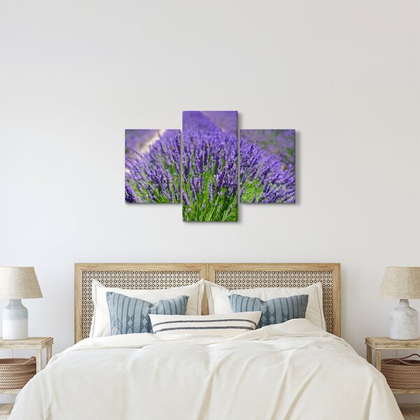 Tablou - lavanda (90x60 cm)
