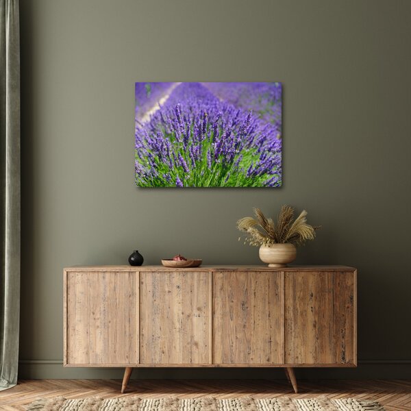 Tablou - lavanda (70x50 cm)