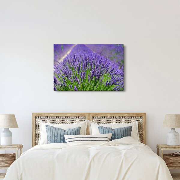 Tablou - lavanda (90x60 cm)