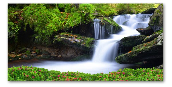 Tablou sticlă Cascada din pădure