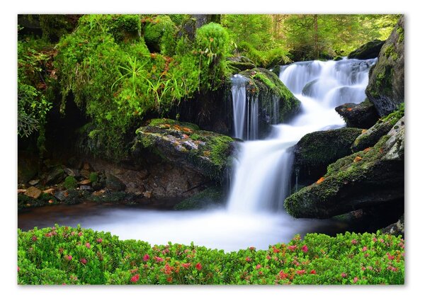 Tablou sticlă Cascada din pădure