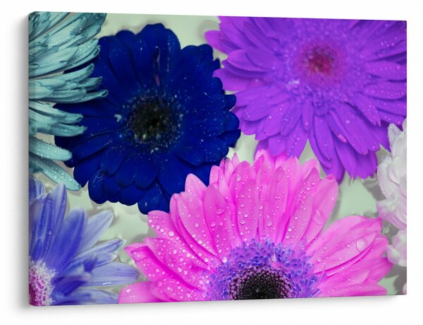 Tablou cu flori colorate (70x50 cm)