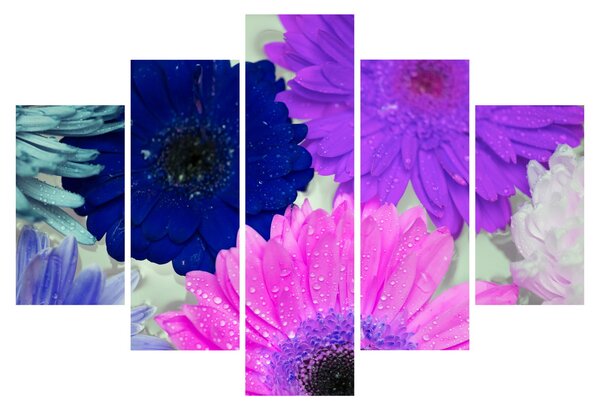 Tablou cu flori colorate (150x105 cm)