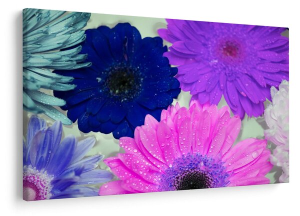 Tablou cu flori colorate (90x60 cm)