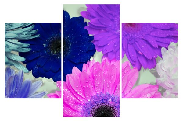 Tablou cu flori colorate (90x60 cm)