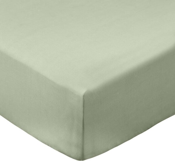 Cearceaf verde din bumbac percal cu elastic 90x190 cm Cotton Percale – Bianca