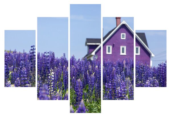 Tablou cu câmp de lavanda (150x105 cm)