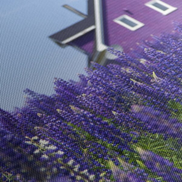 Tablou cu câmp de lavanda (90x60 cm)