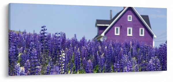 Tablou cu câmp de lavanda (120x50 cm)