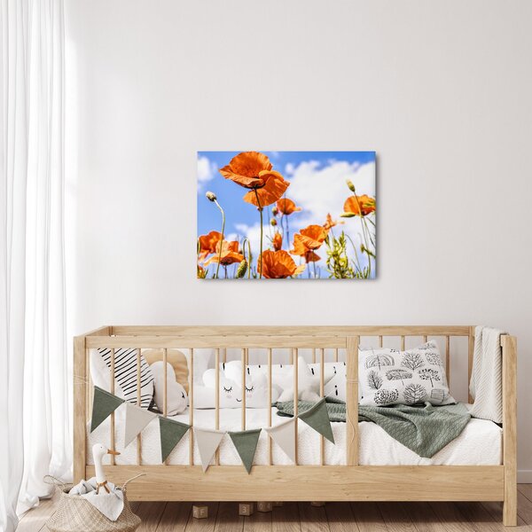 Tablou cu macii (70x50 cm)