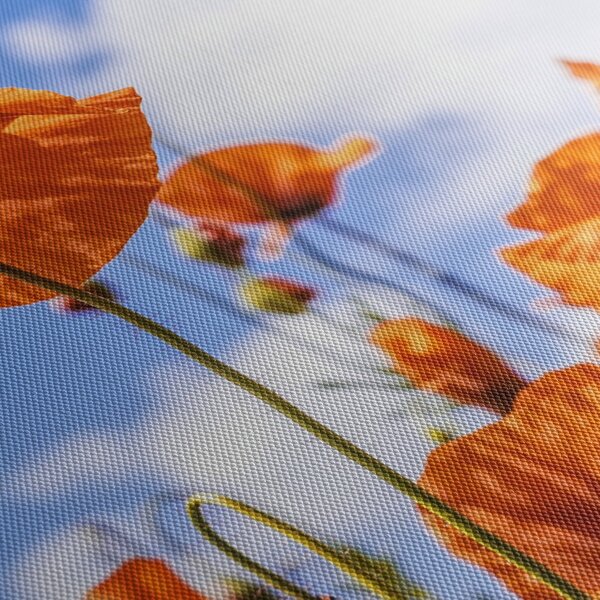 Tablou cu macii (cu ceas) (90x30 cm)