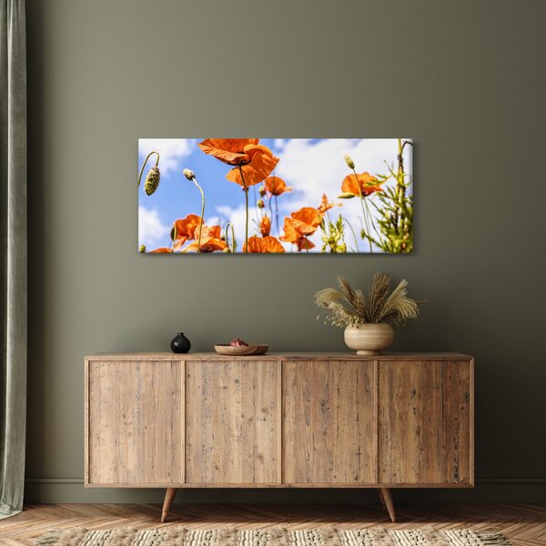 Tablou cu macii (120x50 cm)