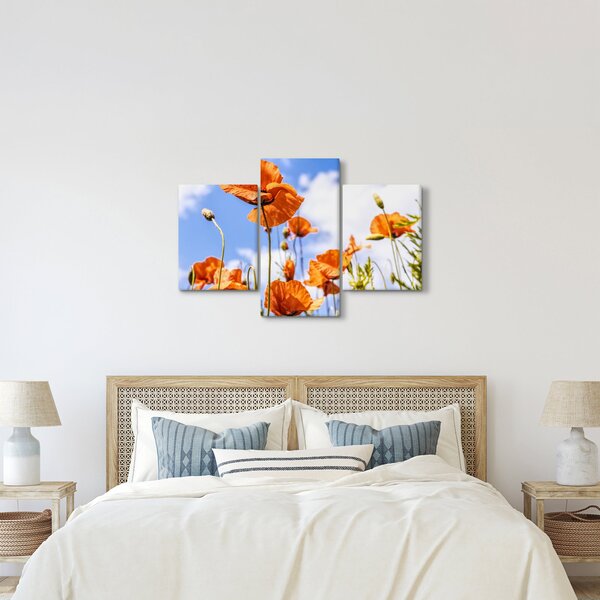 Tablou cu macii (90x60 cm)