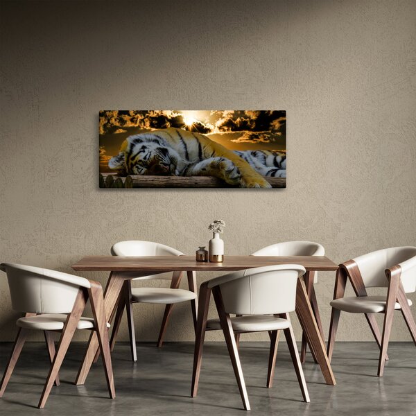 Tablou tigrul dormind (120x50 cm)