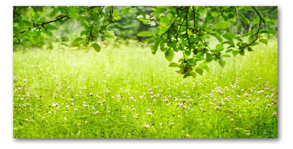 Tablou Printat Pe Sticlă pajiște verde