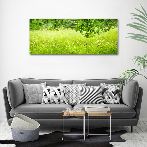 Tablou pe pânză canvas pajiște verde