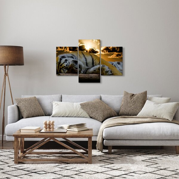 Tablou tigrul dormind (90x60 cm)