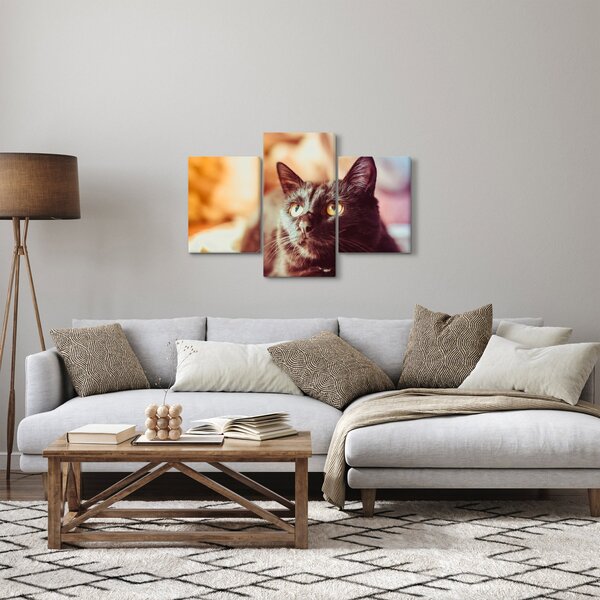 Tablou pisica neagră (90x60 cm)