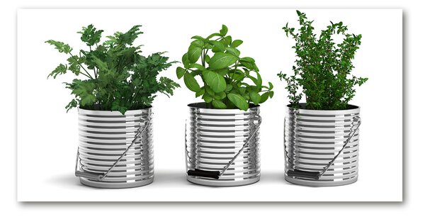 Tablou sticlă plante aromatice