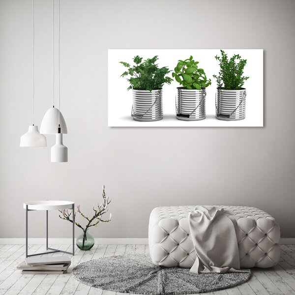 Tablou pe pânză canvas plante aromatice