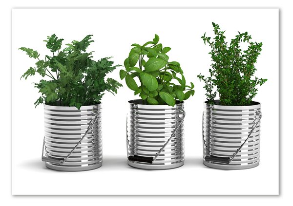 Tablou sticlă plante aromatice