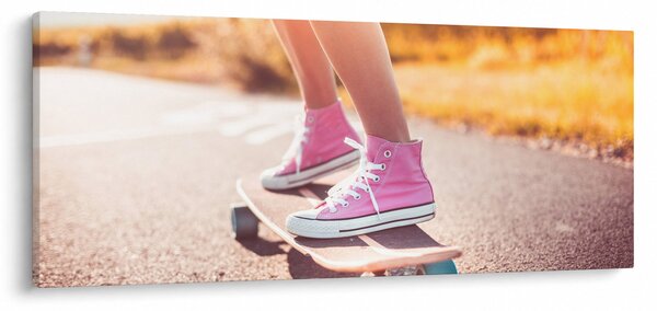 Tablou cu scateboard (120x50 cm)