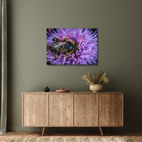 Tablou cu albina pe floare (70x50 cm)