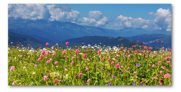 Imagine de sticlă Meadow în munți