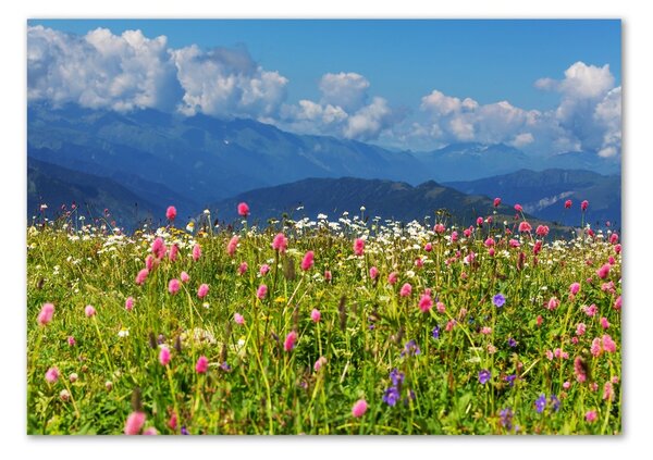 Imagine de sticlă Meadow în munți