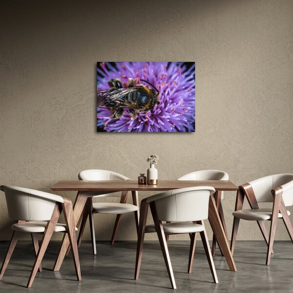 Tablou cu albina pe floare (70x50 cm)