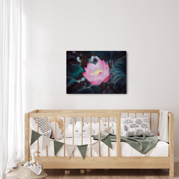 Tablou cu floare roz (70x50 cm)