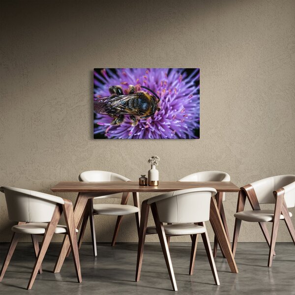 Tablou cu albina pe floare (90x60 cm)