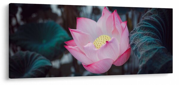 Tablou cu floare roz (120x50 cm)
