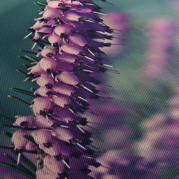 Tablou cu floare violetă (70x50 cm)