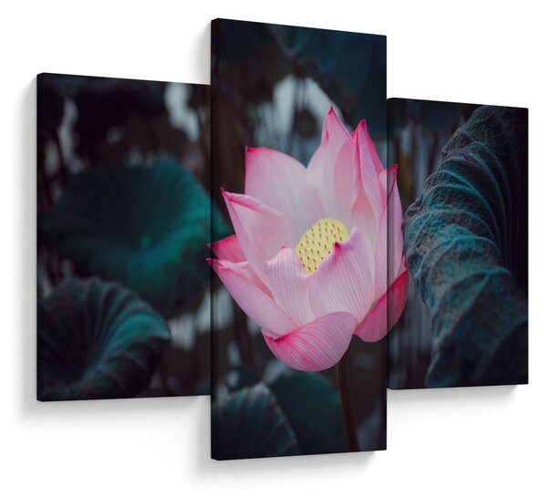 Tablou cu floare roz (90x60 cm)