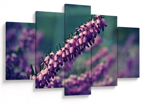 Tablou cu floare violetă (150x105 cm)