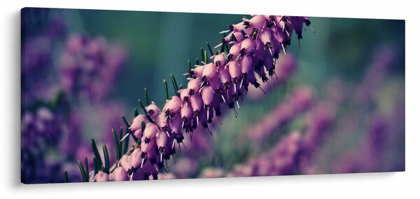 Tablou cu floare violetă (120x50 cm)