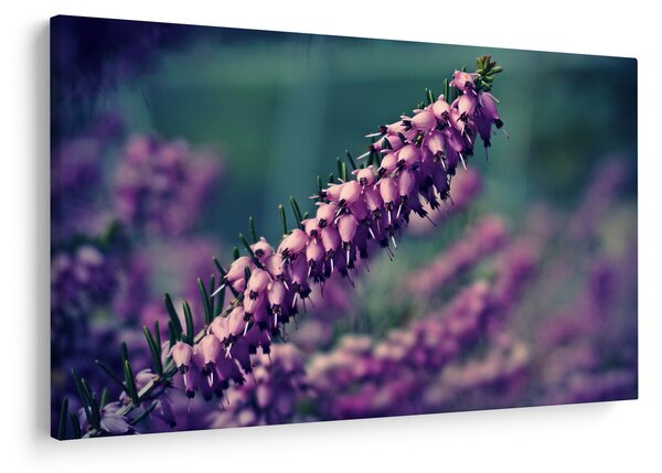 Tablou cu floare violetă (90x60 cm)