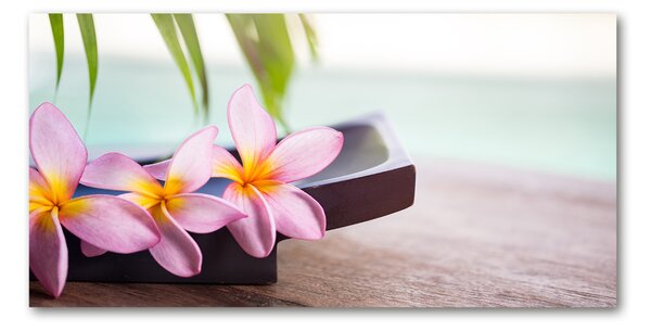 Imagine de sticlă plumeria