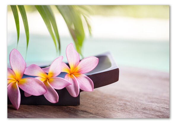 Imagine de sticlă plumeria
