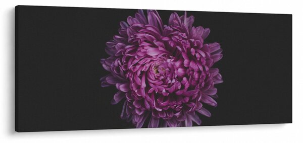 Tablou cu floare violetă (120x50 cm)