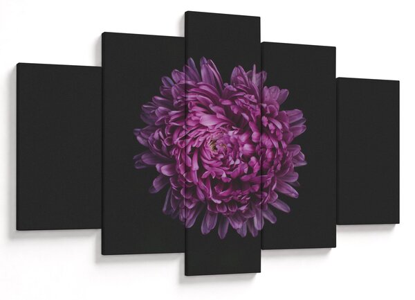 Tablou cu floare violetă (150x105 cm)