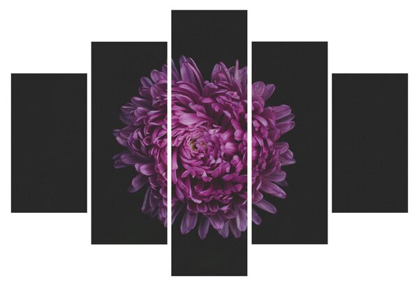 Tablou cu floare violetă (150x105 cm)