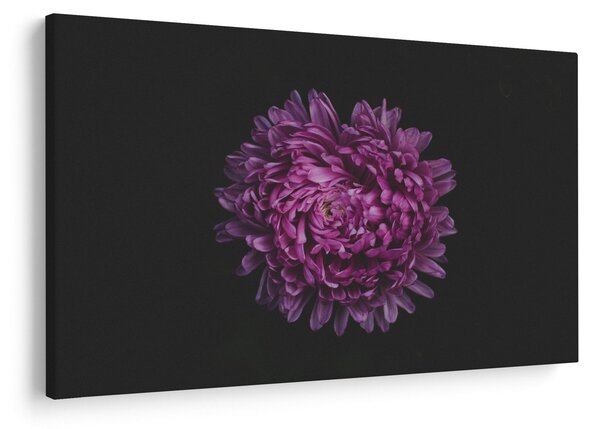 Tablou cu floare violetă (90x60 cm)