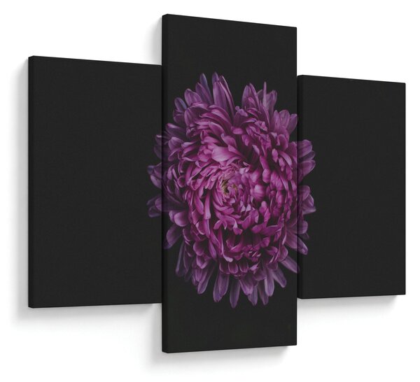 Tablou cu floare violetă (90x60 cm)