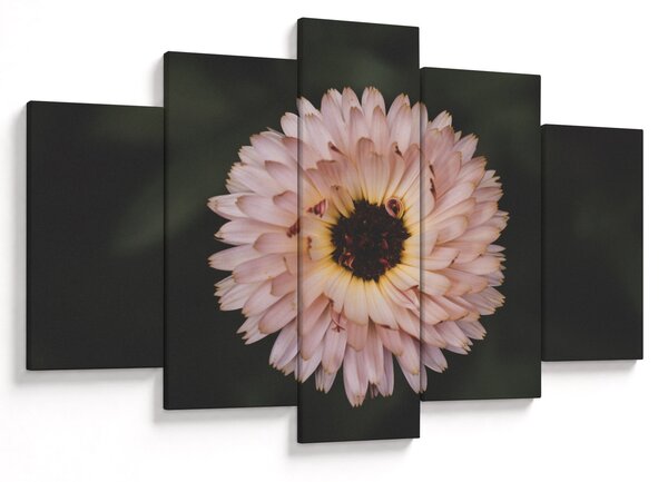 Tablou cu floare portocalie (150x105 cm)