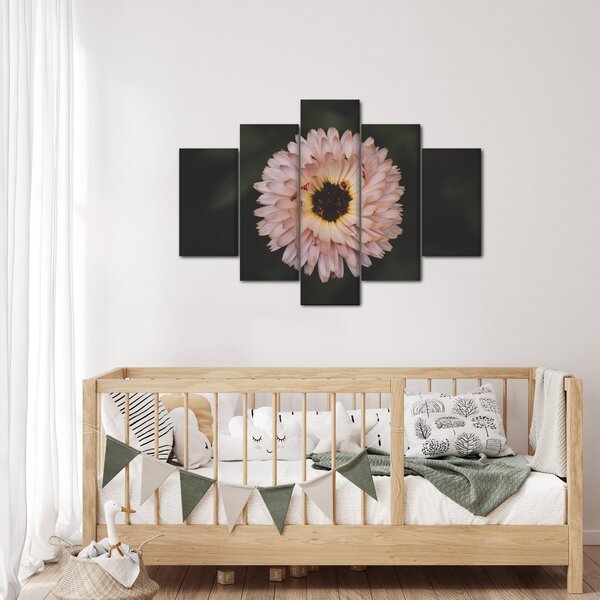 Tablou cu floare portocalie (150x105 cm)