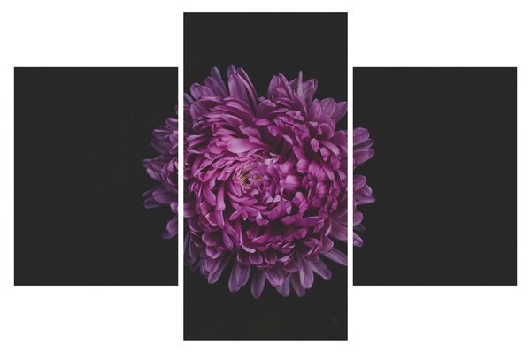 Tablou cu floare violetă (90x60 cm)