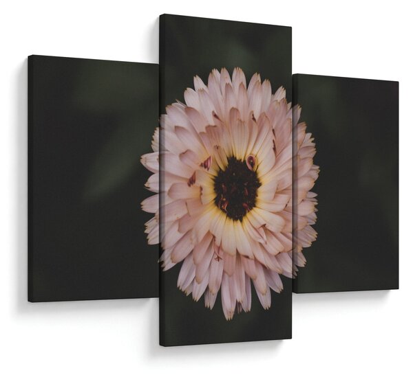 Tablou cu floare portocalie (90x60 cm)