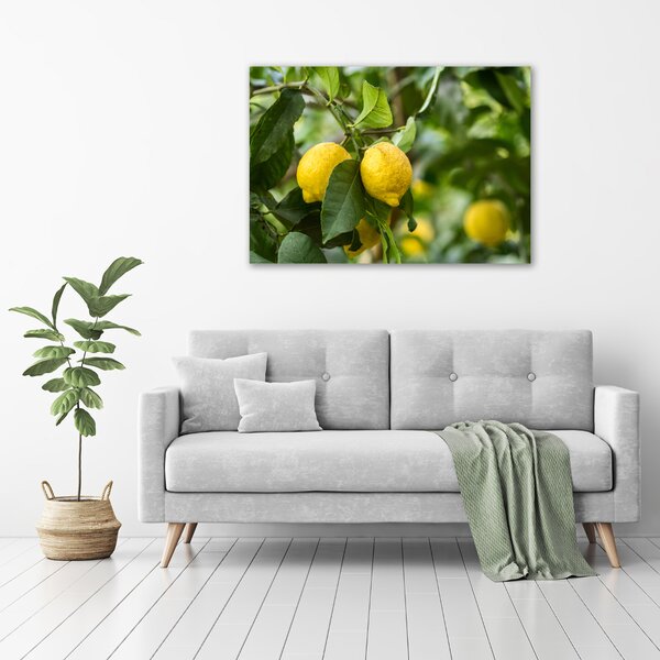 Tablou canvas Lamaile pe copac